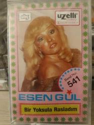 Esen Gül - Bir Yoksula Rastladım