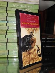 DEMİRYOLU SERSERİLERİ