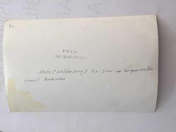 TÜRKAN ŞORAY'IN ANNESİ MELİHA SAV'IN (ÇILGIN MELOŞ) ORİJİNAL FOTOĞRAFI - 18 x 12 cm EBADINDA - MELİHA SAV, SİHİRBAZ AHMET ÇEVİK, AHMEDİGO (DR. SİM) ve ORGANİZATÖR İSMAİL KALENDER KONUŞMA YAPARKEN