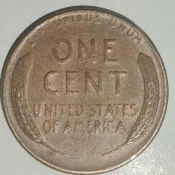 AMERİKA  1956 D    1 CENT  BUĞDAY CENTİ