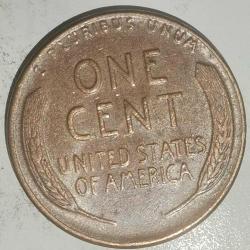 AMERİKA  1956     1 CENT  BUĞDAY CENTİ