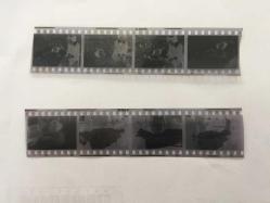 TÜRKAN ŞORAY'IN 1972 YILINDA,Elazığ’da film çekimi sırasında ATTAN DÜŞÜP YARALANDIĞI OLAY SONRASINDA HASTANEDE ÇEKİLMİŞ FOTOĞRAFLARIN 2 ADET DİASI (POZİTİFLER) ve 8 KARE KÜÇÜK HALİNDE TEK FOTOĞRAF (HER KARE 3,5 x 3 cm MİNİ BOYDADIR) - HEPSİ SET HALİNDE, DÖNEMİNE AİT ORİJİNAL AJANS ARŞİVİNDEN/