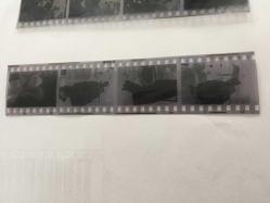 TÜRKAN ŞORAY'IN 1972 YILINDA,Elazığ’da film çekimi sırasında ATTAN DÜŞÜP YARALANDIĞI OLAY SONRASINDA HASTANEDE ÇEKİLMİŞ FOTOĞRAFLARIN 2 ADET DİASI (POZİTİFLER) ve 8 KARE KÜÇÜK HALİNDE TEK FOTOĞRAF (HER KARE 3,5 x 3 cm MİNİ BOYDADIR) - HEPSİ SET HALİNDE, DÖNEMİNE AİT ORİJİNAL AJANS ARŞİVİNDEN/