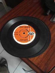 NECATİ ÇALIŞKAN - BEN AĞACIN DALLARI - YAŞAMAKTA BİR TAT VARMI