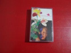 SEZEN AKSU YAZ BİTMEDEN KASET