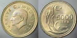 TÜRKİYE CUMHURİYETİ 5000 LİRA 1994 ÇİLALTI.