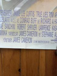 Gerçek Yalanlar - True Lies - 1994 - Orijinal Sinema Afişi - Arnold / James Cameron