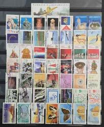 DAMGALI PUL LOTU - 50 ADET