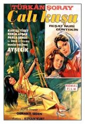 1966 - ÇALIKUŞU FİLMİNİN KARTPOSTALI 1 - TÜRKAN ŞORAY, KARTAL TİBET, KERİM AVŞAR, PARLA ŞENOL, ZEYNEP DEĞİRMENCİOĞLU