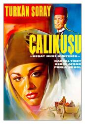 1966 - ÇALIKUŞU FİLMİNİN KARTPOSTALI 2 - TÜRKAN ŞORAY, KARTAL TİBET, KERİM AVŞAR, PARLA ŞENOL, ZEYNEP DEĞİRMENCİOĞLU