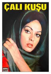 1966 - ÇALIKUŞU FİLMİNİN KARTPOSTALI 3 - TÜRKAN ŞORAY, KARTAL TİBET, KERİM AVŞAR, PARLA ŞENOL, ZEYNEP DEĞİRMENCİOĞLU