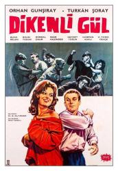 1961 - DİKENLİ GÜL FİLMİNİN KARTPOSTALI - TÜRKAN ŞORAY, ORHAN GÜNŞIRAY, SUJNA SELEN, SALİH TOZAN