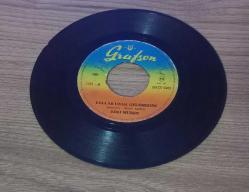 ZEKİ MÜREN-YOLLAR UZAK GELEMEDİM