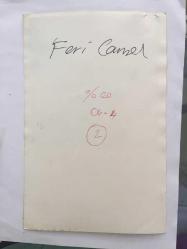 FERİ CANSEL'İN ORİJİNAL 2'Lİ FOTOĞRAF SETİ - 18 x 12 cm EBADINDA - FERİ CANSEL DEKOLTELİ ELBİSESİYLE SAHNEYE ÇIKARKEN ve ŞARKI SÖYLERKEN ÇEKİLMİŞ 2 FARKLI KARE