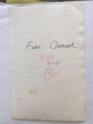 FERİ CANSEL'İN ORİJİNAL 2'Lİ FOTOĞRAF SETİ - 18 x 12 cm EBADINDA - FERİ CANSEL DEKOLTELİ ELBİSESİYLE SAHNEYE ÇIKARKEN ve ŞARKI SÖYLERKEN ÇEKİLMİŞ 2 FARKLI KARE