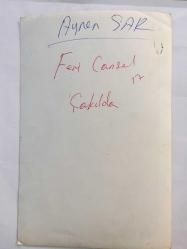 FERİ CANSEL'İN ORİJİNAL FOTOĞRAFI - 18 x 12 cm EBADINDA - FERİ CANSEL, ÇAKIL GAZİNOSU'NDA DEKOLTE ELBİSESİYLE SAHNEDE ŞARKI SÖYLERKEN ÇEKİLMİŞ BİR KARE