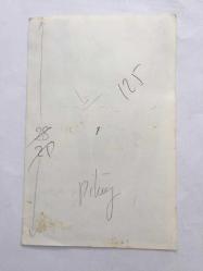 FERİ CANSEL'İN ORİJİNAL FOTOĞRAFI - 18 x 12 cm EBADINDA - FERİ CANSEL AĞAÇTA POZ VERİRKEN ÇEKİLMİŞ BİR KARE