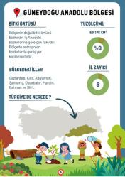 Türkiye’nin Coğrafi Bölgeleri Öğreten YAZ-SİL Kitabı