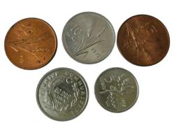 HATIRA KURUŞLAR VE FAO LOTU ÇİL