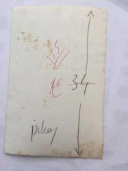 FERİ CANSEL'İN ORİJİNAL FOTOĞRAFI - 18 x 12 cm EBADINDA - FERİ CANSEL SEVGİLİSİYLE DENİZ KENARINDA YÜRÜYÜP GÜLÜŞÜRKEN ÇEKİLMİŞ BİR KARE