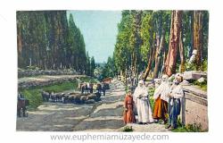 [KARTPOSTAL] Herman Boyacıoğlu Kartpostallarla Eski Türk Hayatı Sergisi Hatırası Constantinople Le grand cimetiere de Scutari (Karacaahmet Mezarlığı). Editör: E. F. Rochat