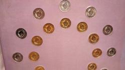 PARA HATIRA SETİ 2020/2021 ANADOLU'YA  ÖZGÜ KUŞLAR ALBÜMÜ  220