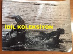 YEŞİLÇAM'IN UNUTULMAZ OYUNCUSU ve TRABZON'UN İFTİHARI TANJU GÜRSU'NUN ORİJİNAL BÜYÜK BOY 2'Lİ FOTOĞRAF SETİ - 24 x 18 cm EBADINDA - TANJU GÜRSU'NUN 1960'LARDA YEŞİLÇAM FİLMLERİNDEN 2 FARKLI KARE(AÇIKLAMAYI OKUYUNUZ)