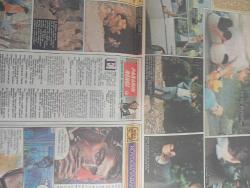 Kelebek hürriyet Gazetesi -21 temmuz 1987 - Yasemin Evcim’den oryantalobik-İlknur alptekin-bilge Kandemir-Yasemin Evcim-cehennem melekleri dizisi-büyük sınav filmi-ünlü ve şanssız dizisi-Bizimkiler karikatürü-copyrıght-güngörmüşler karikatürü-kavanagh-dedektif nik karikatürü-Şato-Fatoş karikatürü-chıcyoung-alpago-Metin soysal-filret kol-günün adamı-Ali Poyrazoğlu-mokok-Memo-mesut çakarlı-didem bülbül-nevzat takmaz-ersin burak-kelebek falınız-azize bergin-yavrumu kurtaran-Hülya birbilen-Yılmaz Zafer-müge yamaç-Nuri alço-eşref kolçak-Samim değer-Salih kırmızı-Suna yıldızoğlu-Çetinalp-Erdal İpekesen-lauren bacall-az yemenin dayanılmaz yan etkileri açlık krizleri-Adile teyzeden kuzucuklarına dondurma uğruna-İsrail’de ölümle randevu-agatha christie-köydeki yabancı-Cemal Dündar-gönülden gonule foto romanı-Ahmet özhan-Sibel turnagöl-Sümer Tilmaç-Nilgün Ersoy-Haluk kurtoğlu-sayfa sayısı dört