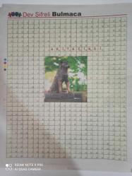 Hürriyet Bulmaca Doğum Günü Gazetesi - 15 Ekim 2023-Rojda demirer-sayı bulmaca-kelime bulmaca-mini Çengel bulmaca-mozaik bulmaca-artan sözcük-sudoku-dev şifreli bulmaca-zincir bulmaca-kare bulmaca-Ferdi Tayfur-sayfa sayısı 12