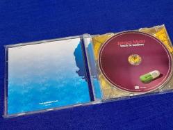 JAMES BLUNT BACK TO BEDLAM MÜZİK CD