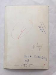 SEHER ŞENİZ'İN ORİJİNAL 3'LÜ FOTOĞRAF SETİ - 18 x 12 cm ve 18 x 13 cm EBADINDA - SEHER ŞENİZ , FAHRETTİN ASLAN'IN OĞLU SACİT ASLAN'LA BİRLİKTELİK YAŞARKEN ÇEKİLMİŞ 3 FARKLI KARE, SEHER ŞENİZ ve SACİT ASLAN, ÖZEL ARŞİV