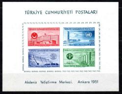 **(58)**1952 B.M. AKDENİZ YETİŞTİRME MERKEZİ (F.A.O.) HATIRA BLOKU