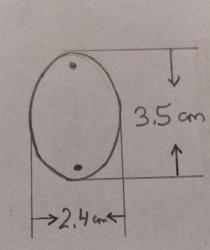 19420-1940 LI YILLAR BAL RENGİ KRİSTAL ÇİFT DELİKLİ BADEM AVİZE TAŞI **YÜK 3,5 CM ENİ 2,4 CM**ADET FİYATIDIR**