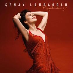 Şenay Lambaoğlu  Rüyalarıma Gir  CD  SIFIR JELATİNLİ AMBALAJINDADIR