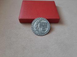 TÜRKİYE MİLLİ OLİMPİYAT KOMİTESİ FAİR PLAY HİZMET MADALYASI C1872