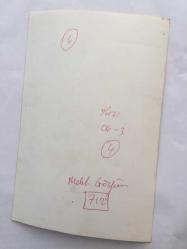 MELEK GÖRGÜN'ÜN ORİJİNAL FOTOĞRAFI - 18 x 12 cm EBADINDA - MELEK GÖRGÜN ÇİMENLERİN ÜZERİNDE SOYUNURKEN ÇEKİLMİŞ BİR KARE