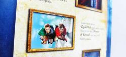 Harry Potter ve Felsefe Taşı Widescreen Edition 2 Disk DVD Film