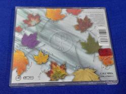 DEEP FOREST BOHEME MÜZİK CD