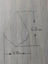 19448-MUHTEŞEM GÜZELLİKDE ŞEFFAF KRİSTAL YAPRAK AVİZE TAŞI**YÜKSEKLİK 6,3 CM ENİ 4,5 CM **ADET FİYATIDIR***