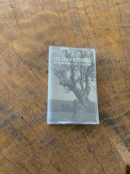 FERİDUN DÜZAĞAÇ - BİR DEVAM FİLMİ / SİYAHBEYAZ TÜRKÇE DUBLAJ - KASET (JELATİNİNDE)