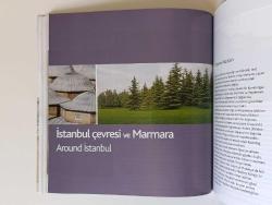 TÜRKİYE'DEKİ BUTİK OTELLER VE KÜÇÜK OTELLER KİTABI