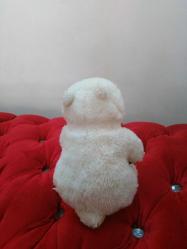 Sevimli Beyaz Peluş Ayıcık – Yumuşacık Oyuncak