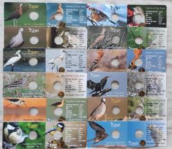 2021 Anadolu'ya Özgü Kuşlar Serisi İçin boş folder