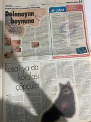 KÜLTÜR YAŞAM GAZETESİ DOĞUM GÜNÜ HEDİYESİ - 12 NİSAN 1998 -Can Yücel-Hasan Ali Yücel-Zülfü Livaneli-Tuna Erdem-Tuba Çandar-Milan Kundera-Mehmet Fırat-Frida Kahlo-Diego Rivera-Karl Marx-Lenin-Stalin-Trotski-Richard Gere-Meg Ryan-Sylvia Plath-Şengün Kılıç-Ekrem Murat-Sibel Arslan Yeşilay-Gürbüz Doğan Ekşioğlu-Kubilay Tunçer-Melih Feromen-Gaye Boralıoğlu  Bu ne forum-Bu ne yorum-Soru sorana korum-Şiirle ve muhalefetle geçen 72 yıl-Can Yücel bir kez daha hapis cezasıyla karşı karşıya-Festival zamanı geldi-Meg Ryan da Sylvia Plath olursa-Kadınlar boyunlarını süsleyecek-Gelin Fendi-Kedici-Hasan Ali Yücel Yarışması-Moğollar-Zülfü Livaneli Konseri-Hamam-Gâvur Sergisi-Kitap Bağışı-Belediye Konservatuvarı-Cihangir’de balık keyfi-Robin ile evde tek başına-Başarısız propaganda-Kızıl Köşe-Budist Gere-Yalnız eserleriyle değil kişiliğiyle de bir efsaneydi-Meksika’nın ruhu resimlerinde yaşıyor-Gerçeklikten hayale-Masal sularında-Tanın beni baştan yarat-İstanbul’u caza yaklaştırıyor-