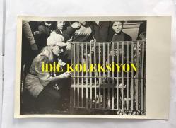 DANSÖZ ve OYUNCU ÖZCAN TEKGÜL'ÜN ORİJİNAL 3'LÜ FOTOĞRAF SETİ - 18 x 12 cm EBADINDA - ÖZCAN TEKGÜL HAYVANAT BAHÇESİNE GİDİP KAFESTEKİ MAYMUNU SEVERKEN ÇEKİLMİŞ 3 FARKLI KARE