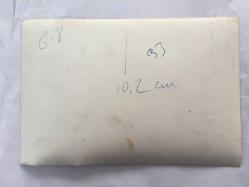 DANSÖZ ve OYUNCU ÖZCAN TEKGÜL'ÜN ORİJİNAL 3'LÜ FOTOĞRAF SETİ - 18 x 12 cm EBADINDA - ÖZCAN TEKGÜL HAYVANAT BAHÇESİNE GİDİP KAFESTEKİ MAYMUNU SEVERKEN ÇEKİLMİŞ 3 FARKLI KARE