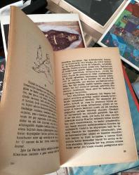 inci - john steinbeck