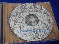 PLAIN WHITE T's EVERY SECOND COUNTS MÜZİK CD