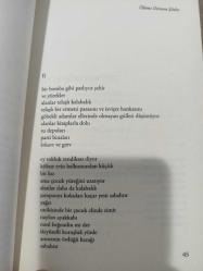 Ender Sarıyatı Ölüme Direnen Şiirler