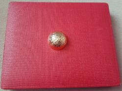 MASONİK ZANAAT LOCASI KUBBE DÜĞME - ROZET - MADALYA C2266